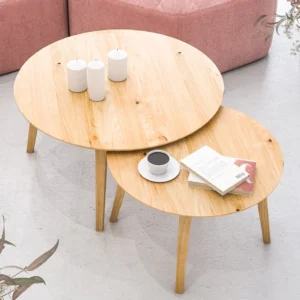 a22_2fcbc4bb-d3e0-464c-965f-78d2e28293a8 طقم ترابيزات قهوة - قطعتين- SHAM118